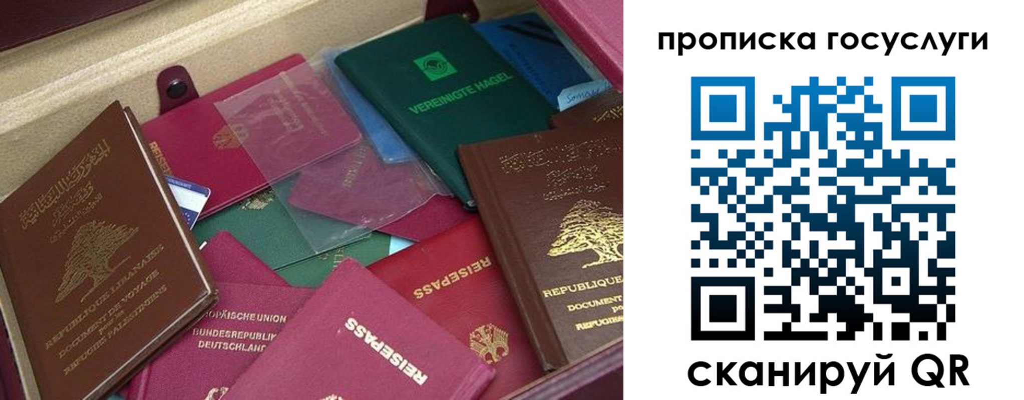 прописка гарантия в Кинешме